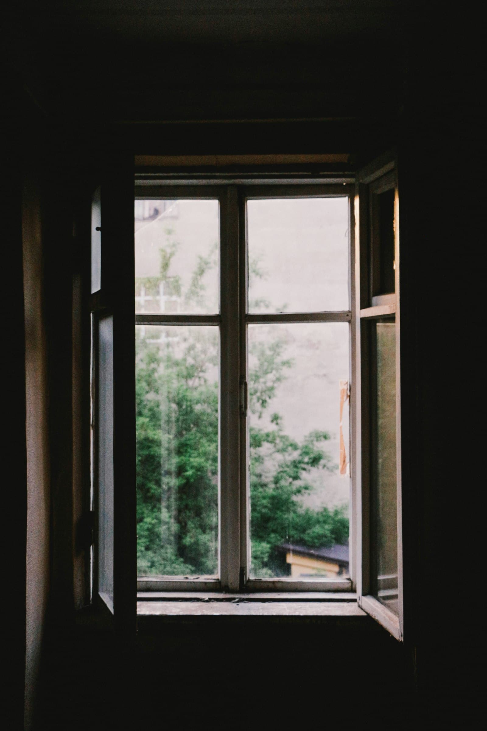 Open casement window beside green plants